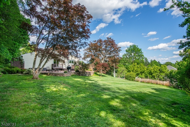 327 Pleasant Hill Road Flanders, NJ 07836 - Photo 41 of 46