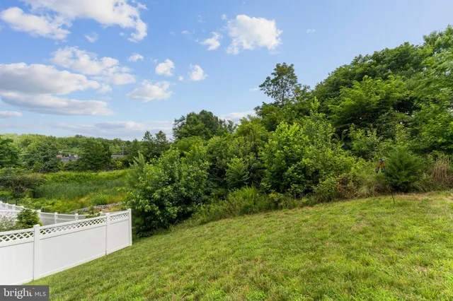 a view of a yard with a tree