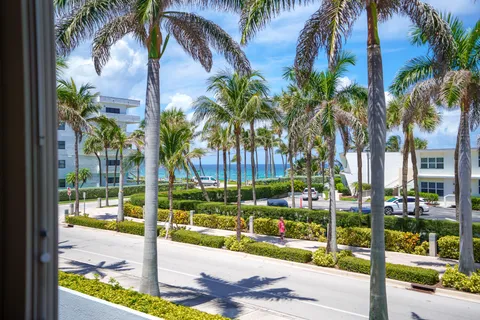 a view of a park with palm trees