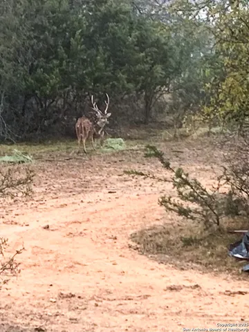 $989,900 | 23 Waring Road, Boerne, TX 78013