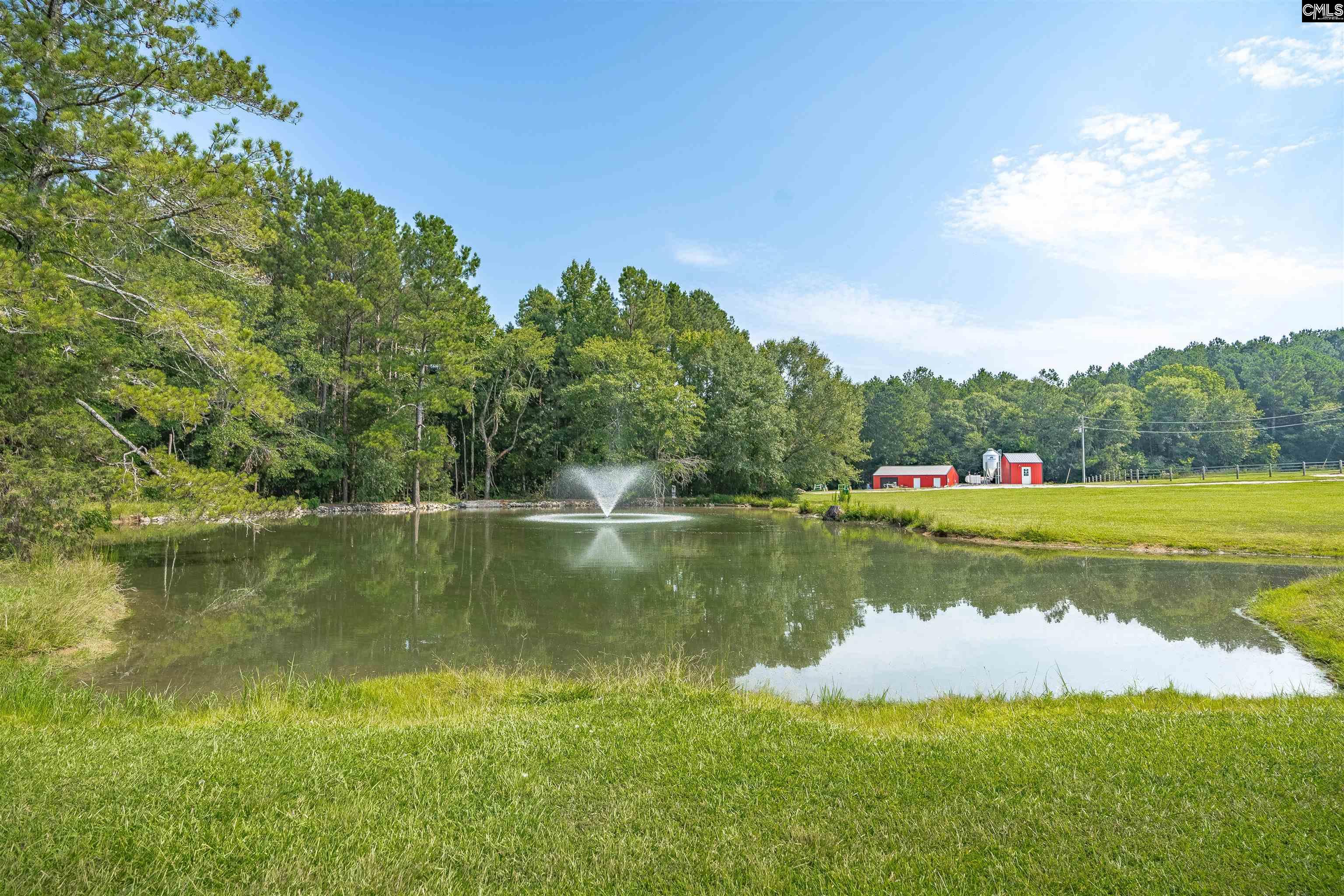 637 Belfast Road Newberry, SC 29108 - Photo 28 of 74