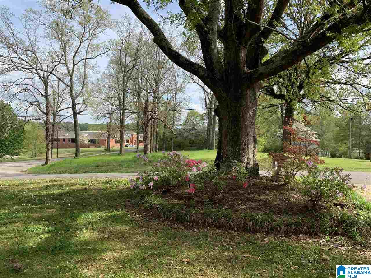 67 Brandt Street Heflin, AL 36264 - Photo 6 of 50