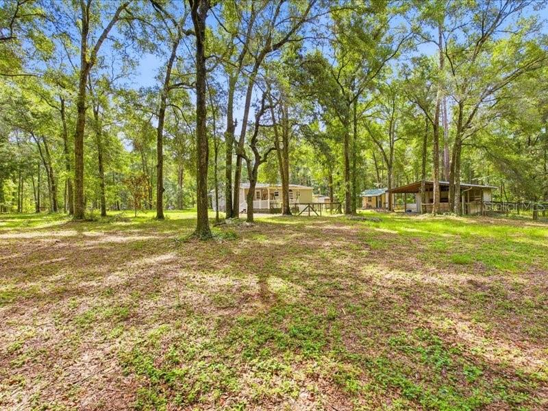 9986 South Forestline Avenue Inverness, FL 34452 - Photo 25 of 32