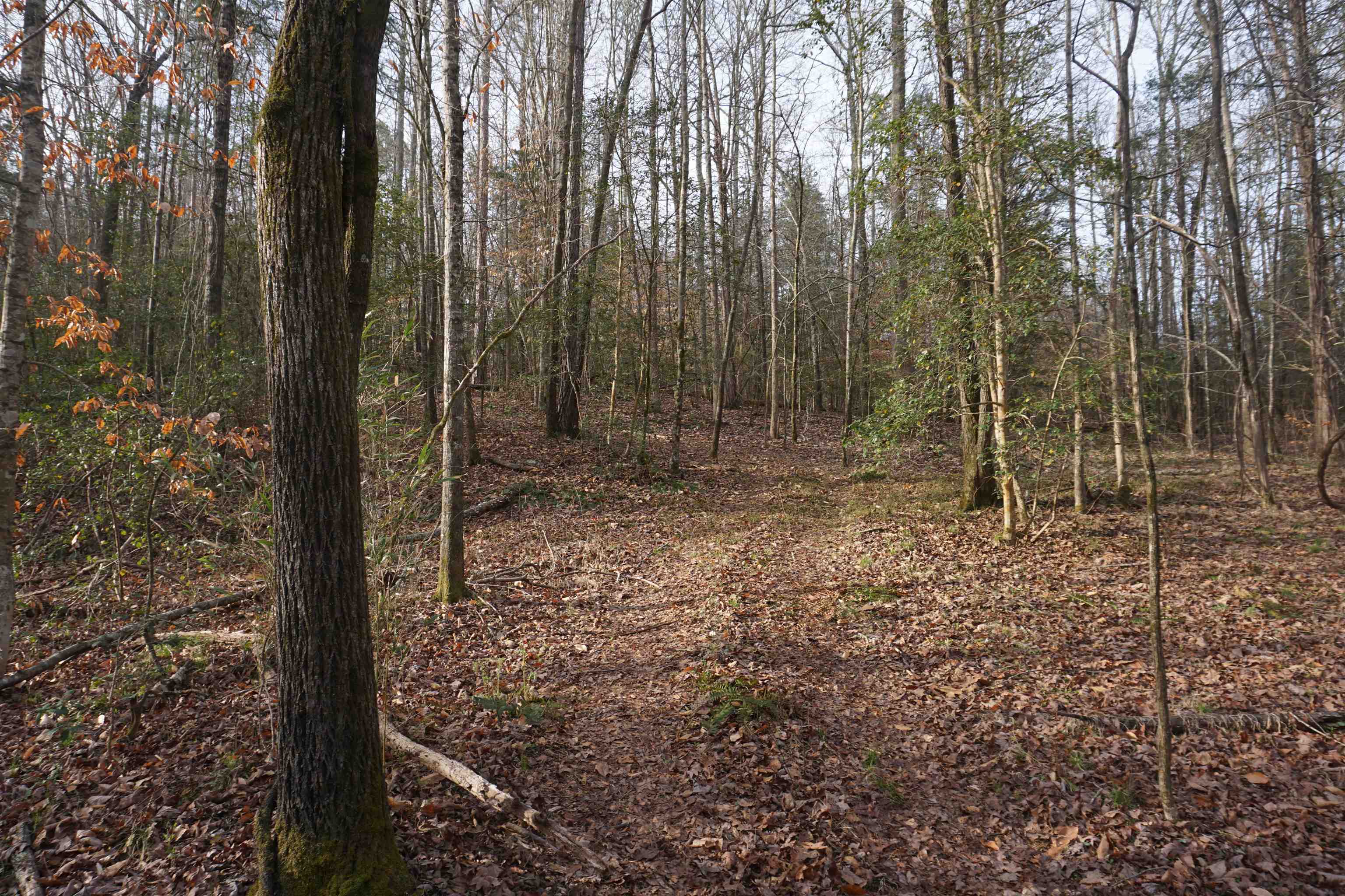 1475 Price House Road, Unit 1 Roebuck, SC 29376 - Photo 5 of 19