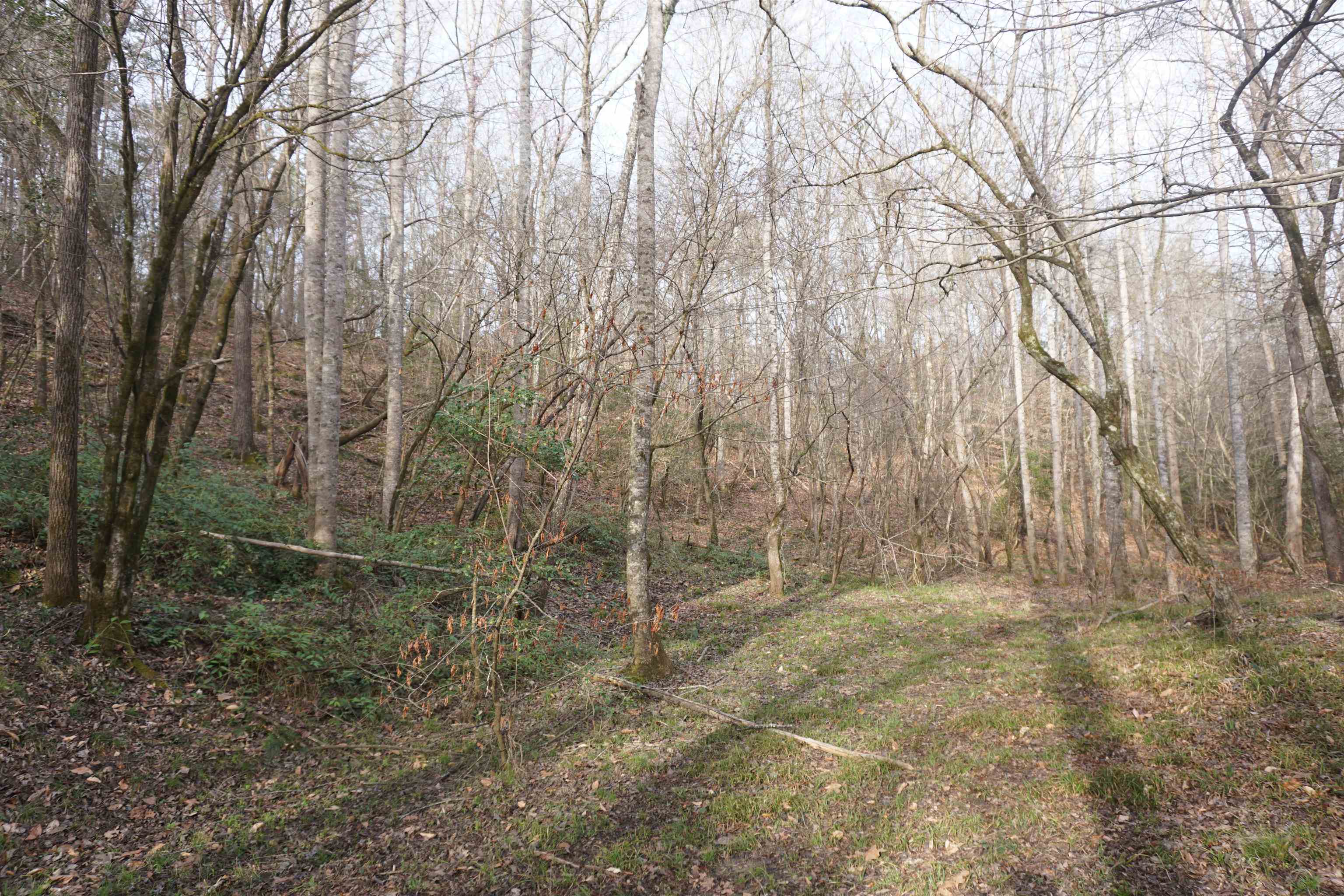 1475 Price House Road, Unit 1 Roebuck, SC 29376 - Photo 8 of 19