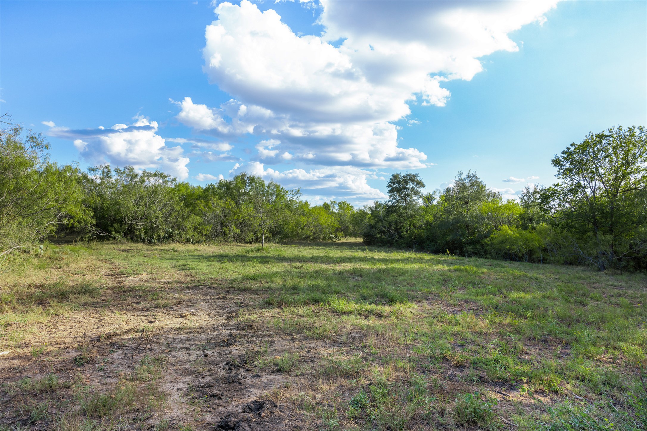 399 Seals Creek Road Lockhart, TX 78644 - Photo 10 of 40 View of yard with a view of rural / pastoral area