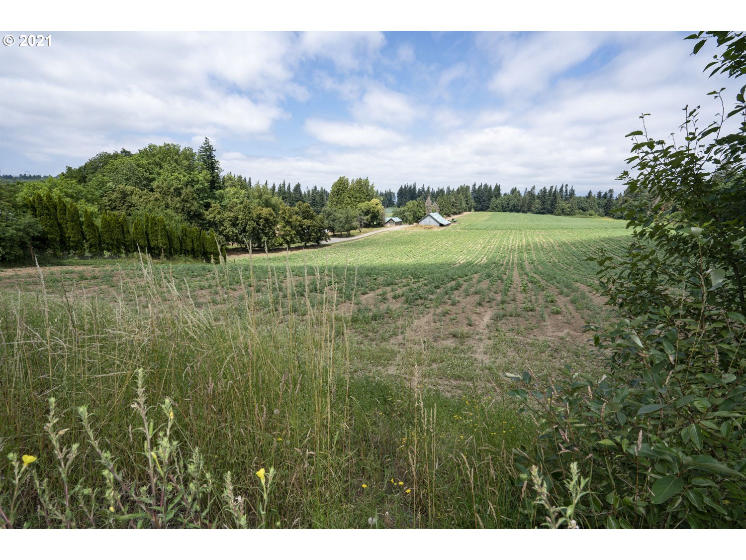 33535 Northeast Mershon Road Corbett, OR 97019 - Photo 5 of 21 Gallery Image 5