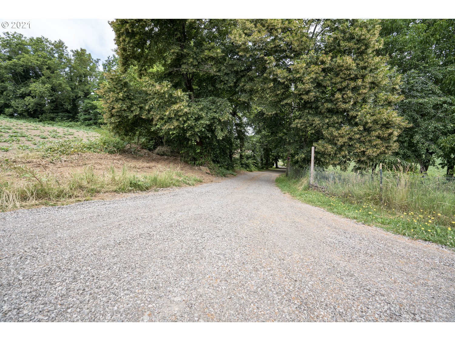 33535 Northeast Mershon Road Corbett, OR 97019 - Photo 7 of 21 Gallery Image 7
