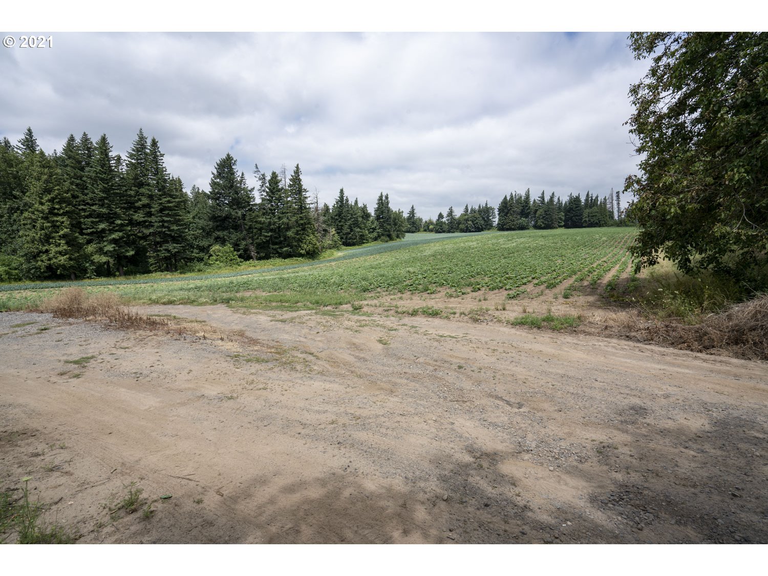 33535 Northeast Mershon Road Corbett, OR 97019 - Photo 8 of 21 Gallery Image 8