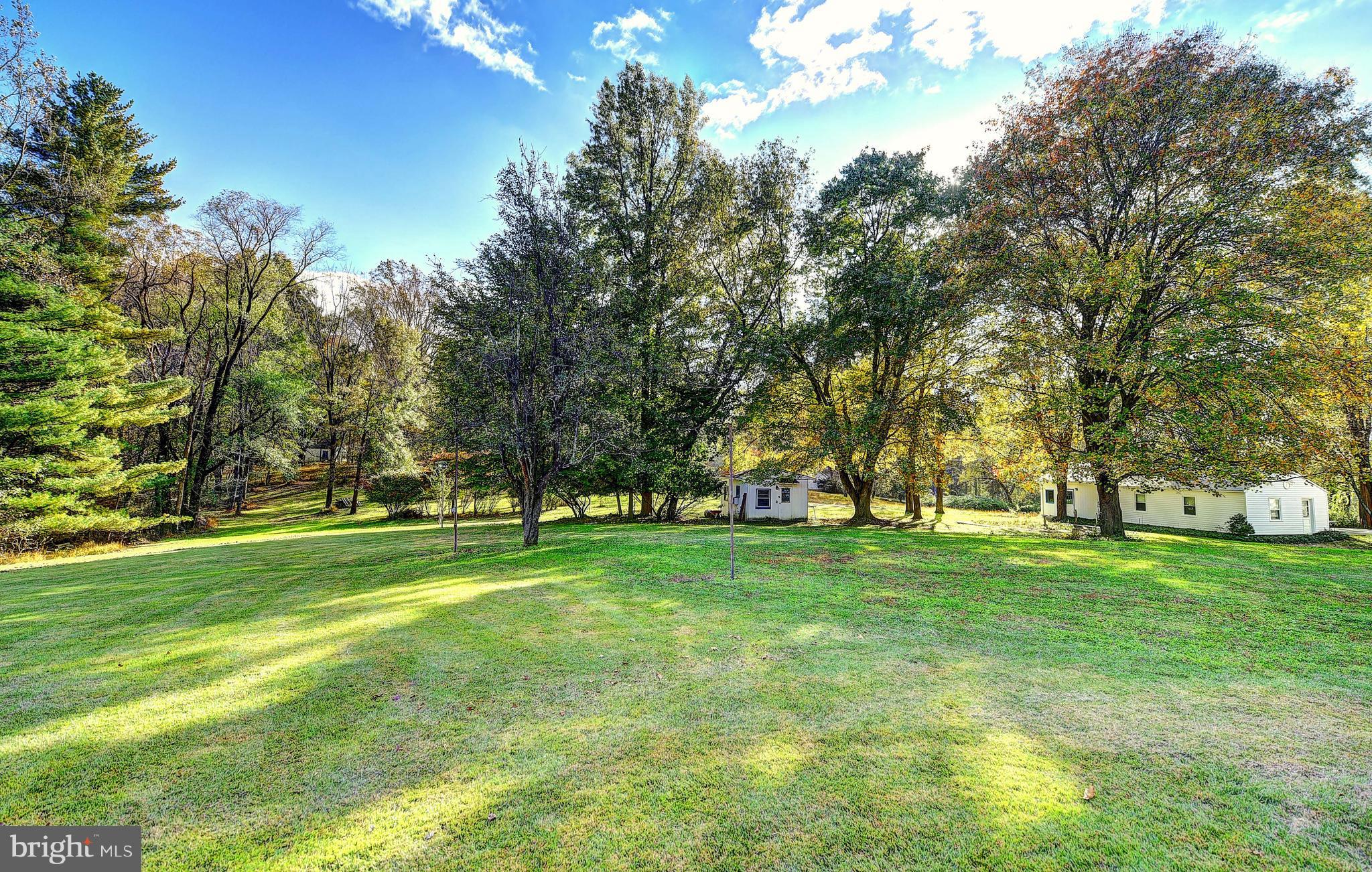 9200 Dogwood Road Baltimore, MD 21244 - Photo 25 of 25 a yard with lots of trees and plants