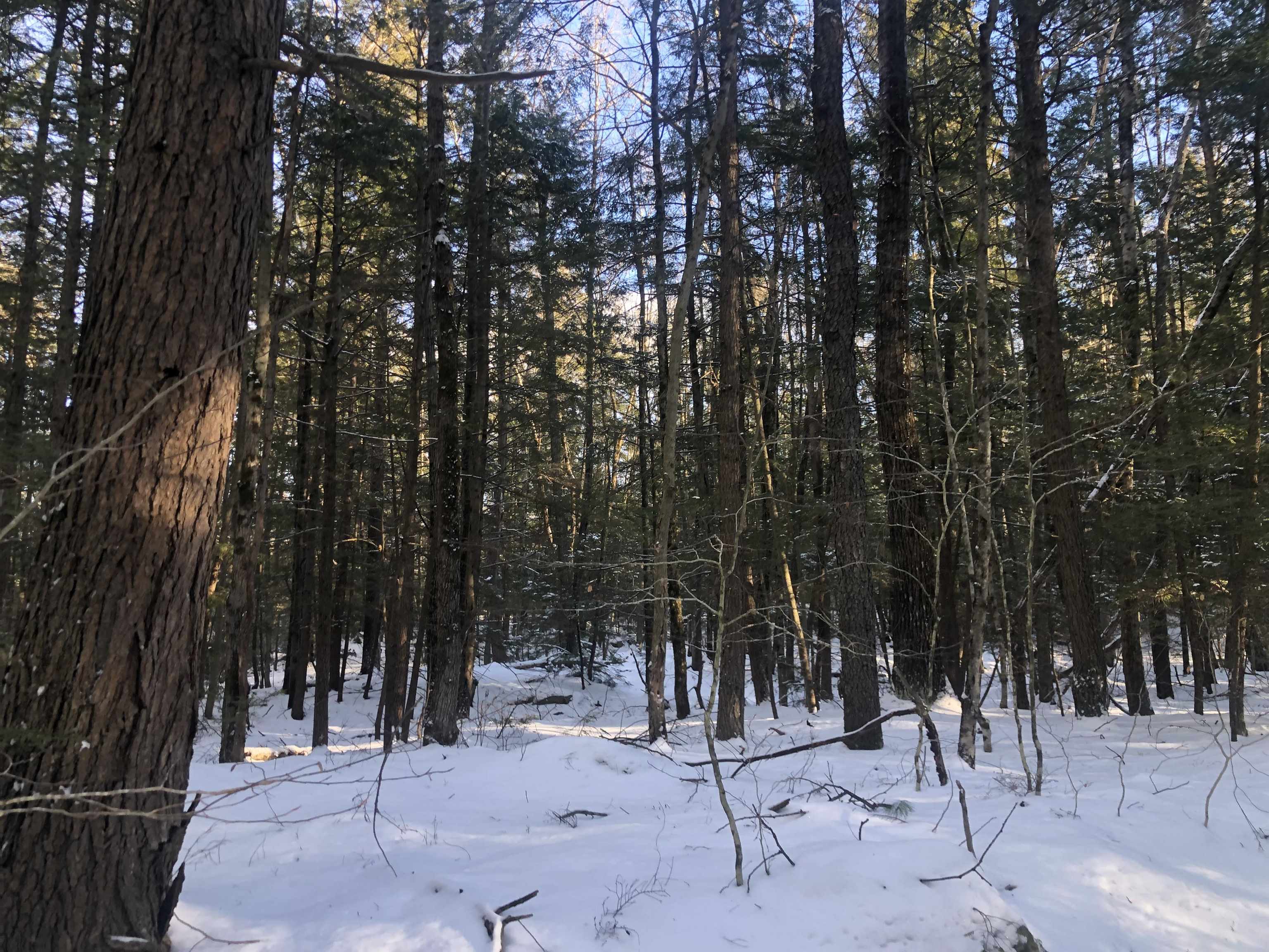 0 Chesterfield Road Keene, NH 03431 - Photo 2 of 4