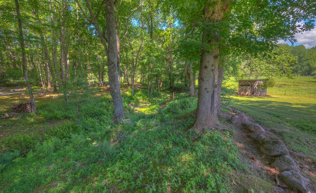 438 McDonald Road Murphy, NC 28906 - Photo 34 of 81