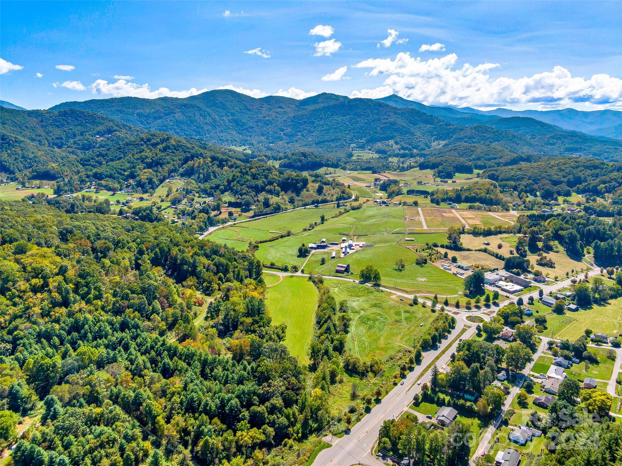 40 Ratcliff Cove Road Waynesville, NC 28786 - Photo 3 of 15