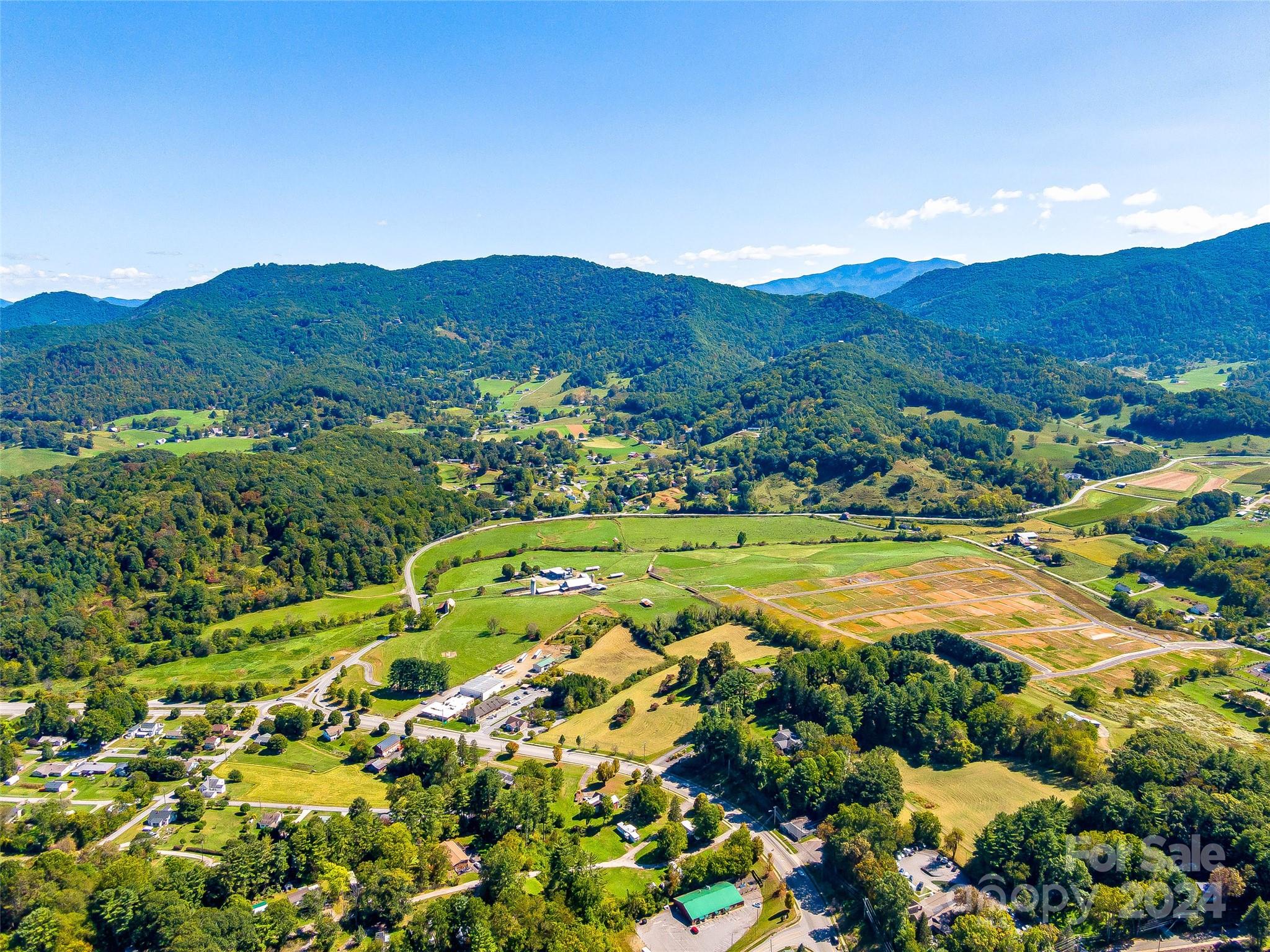 40 Ratcliff Cove Road Waynesville, NC 28786 - Photo 4 of 15