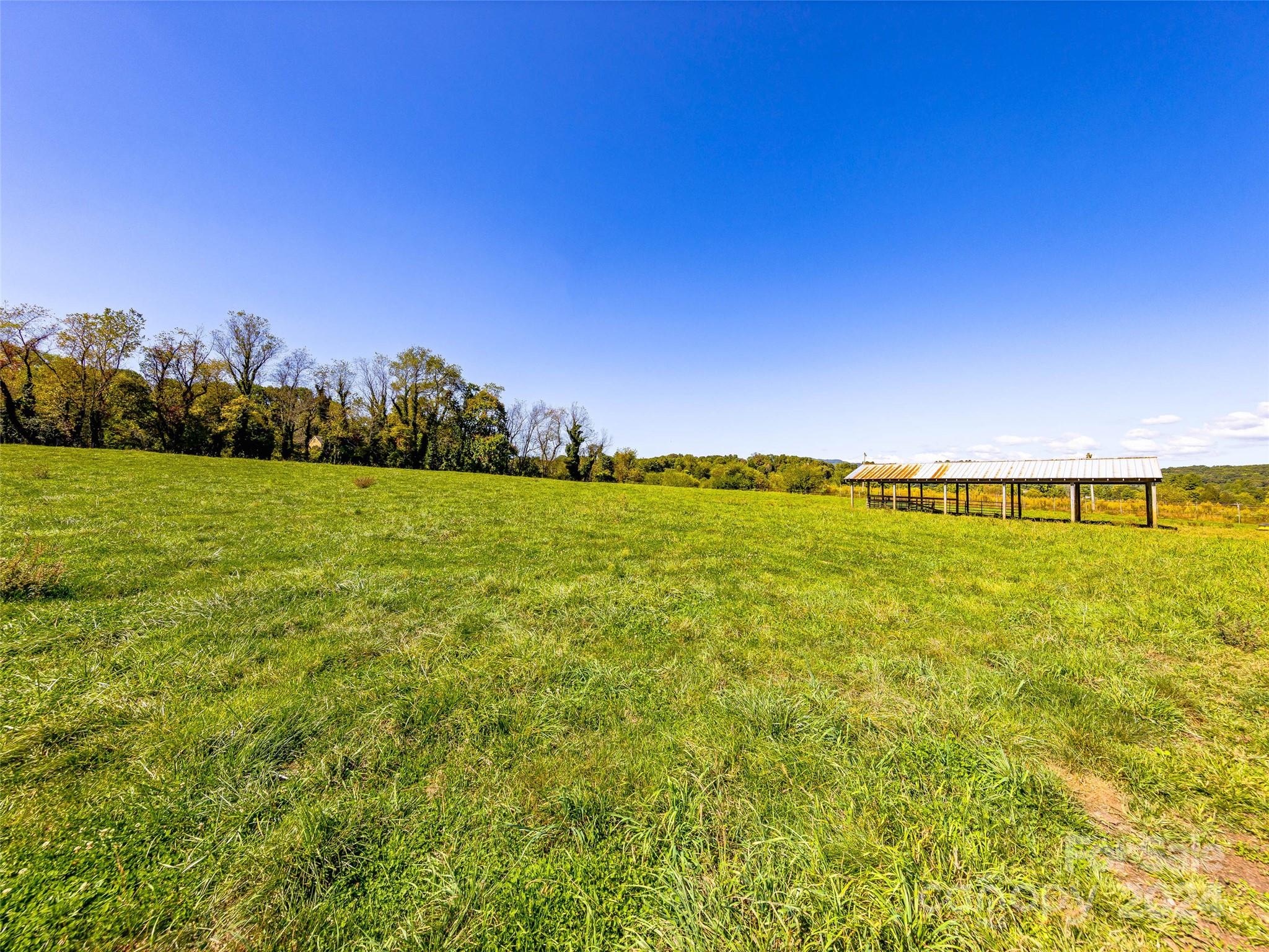 40 Ratcliff Cove Road Waynesville, NC 28786 - Photo 10 of 15