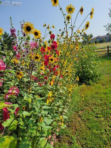 1645 Bowstring Road Monument, CO 80132 - Photo 37 of 37 *Last Season