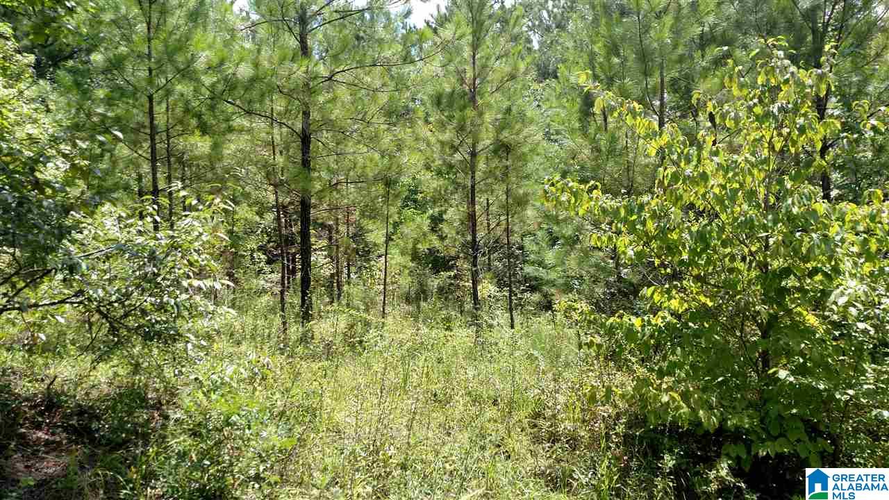 0 Gooden Lane, Unit 1 Sylacauga, AL 35151 - Photo 2 of 2