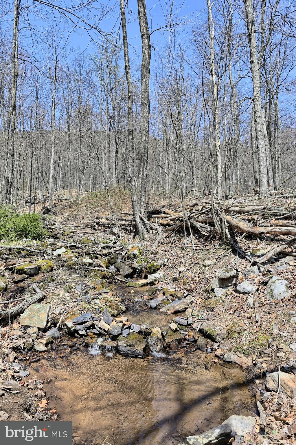 4577 Laurel Run Road Blain, PA 17006 - Photo 11 of 61