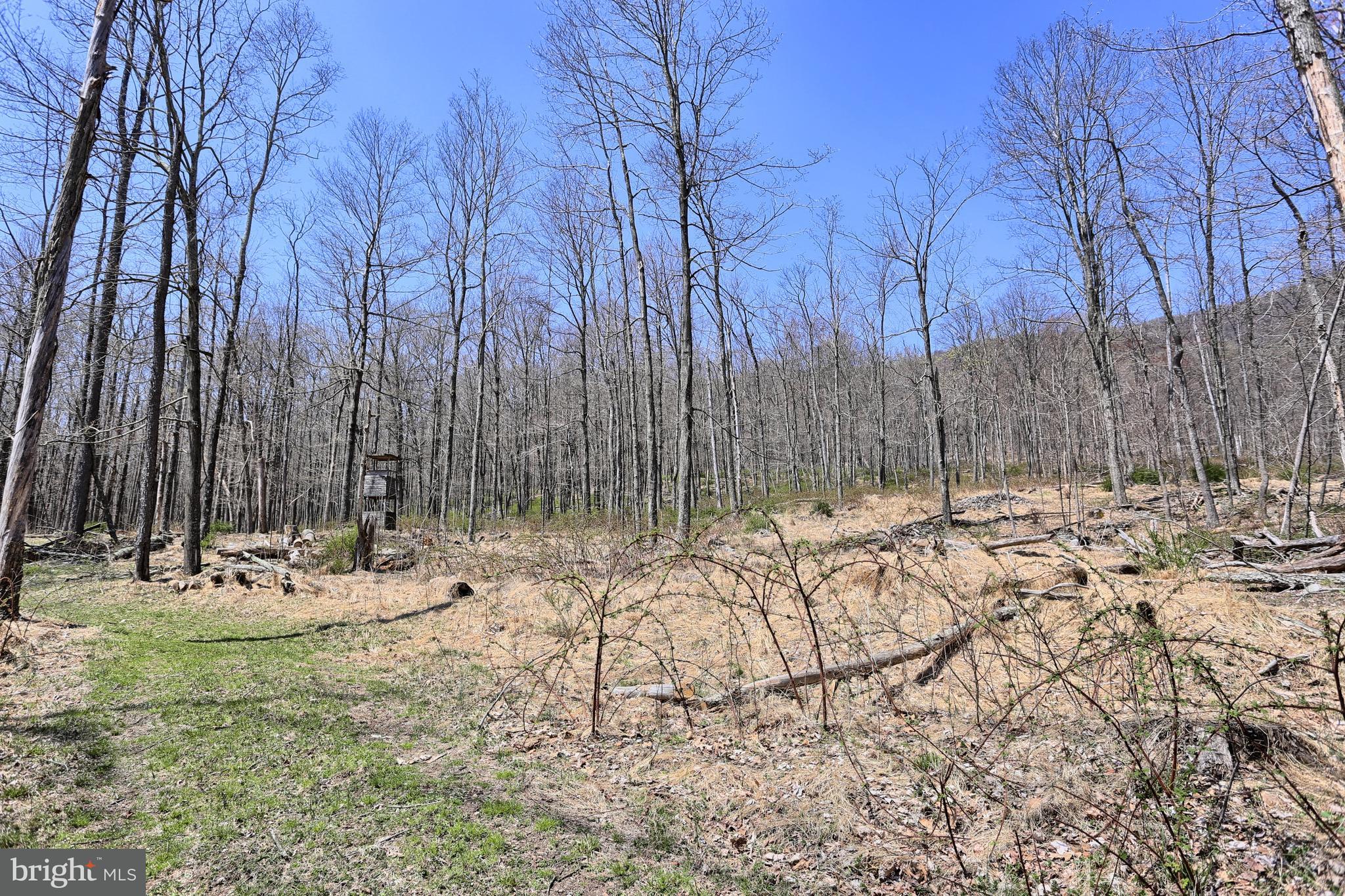 4577 Laurel Run Road Blain, PA 17006 - Photo 12 of 61