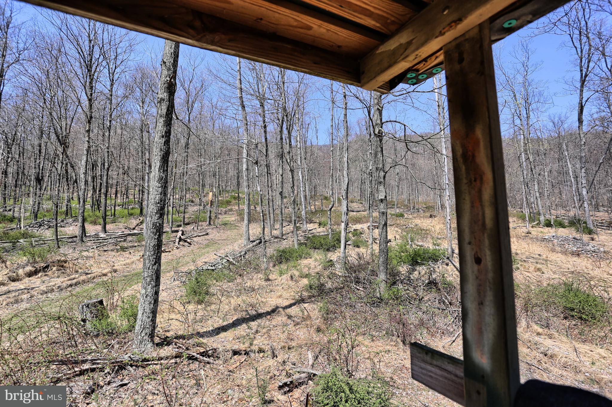 4577 Laurel Run Road Blain, PA 17006 - Photo 13 of 61