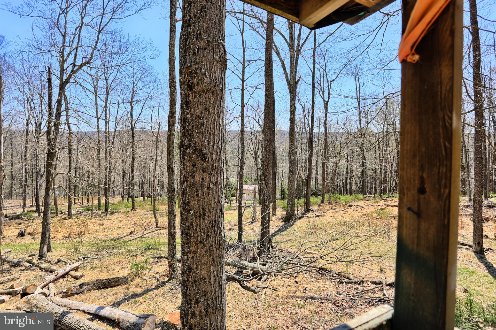 4577 Laurel Run Road Blain, PA 17006 - Photo 14 of 61