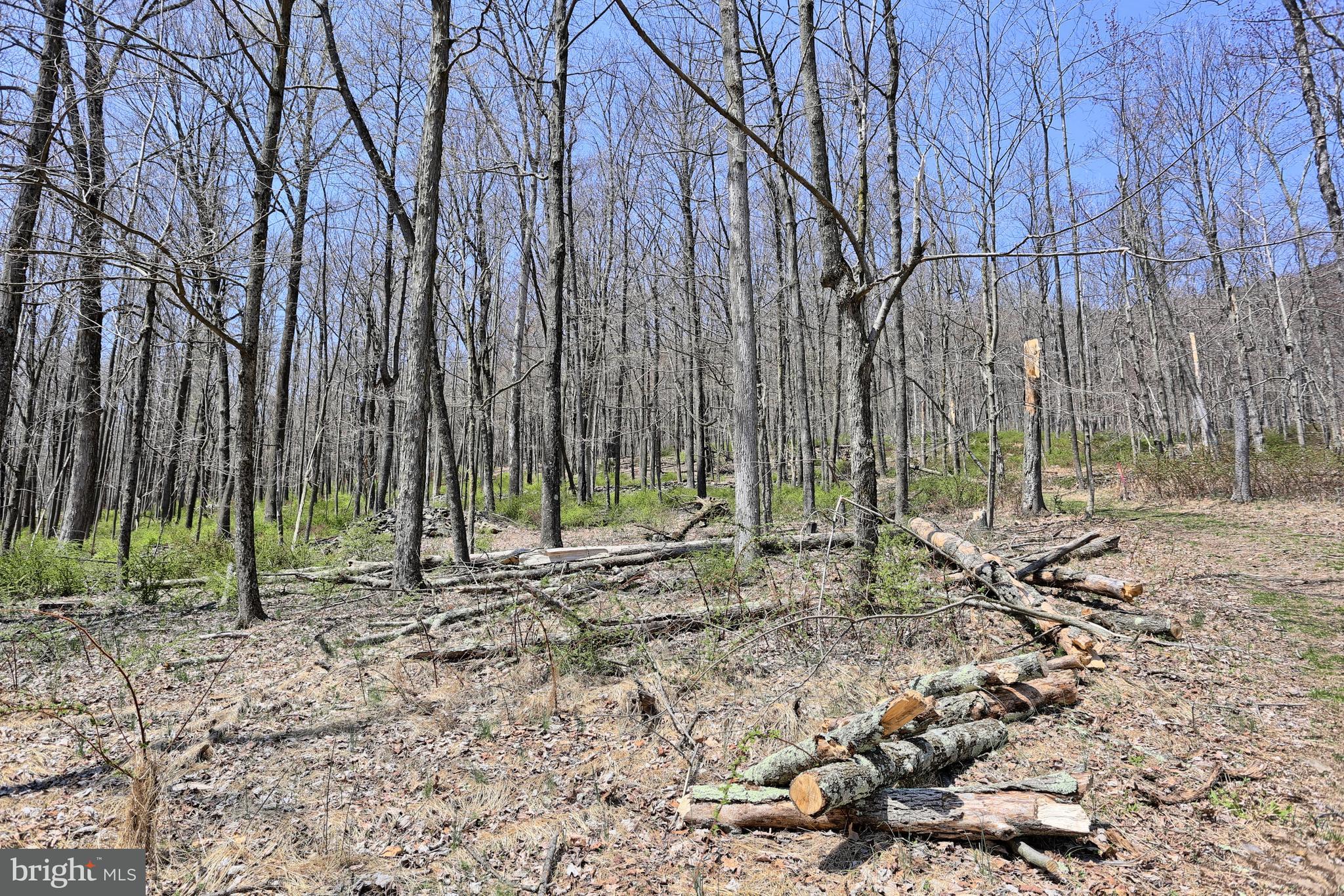 4577 Laurel Run Road Blain, PA 17006 - Photo 16 of 61