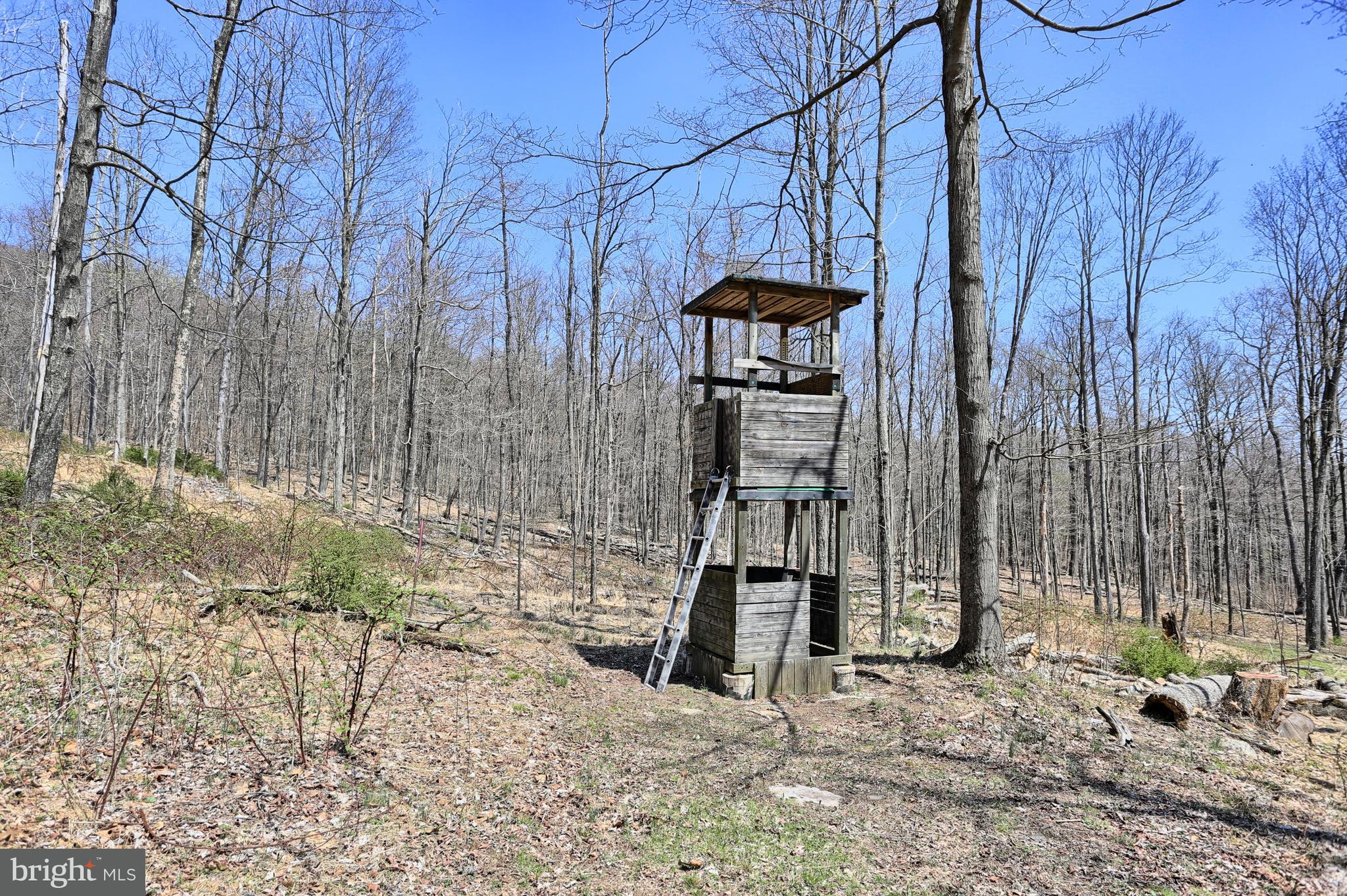 4577 Laurel Run Road Blain, PA 17006 - Photo 17 of 61