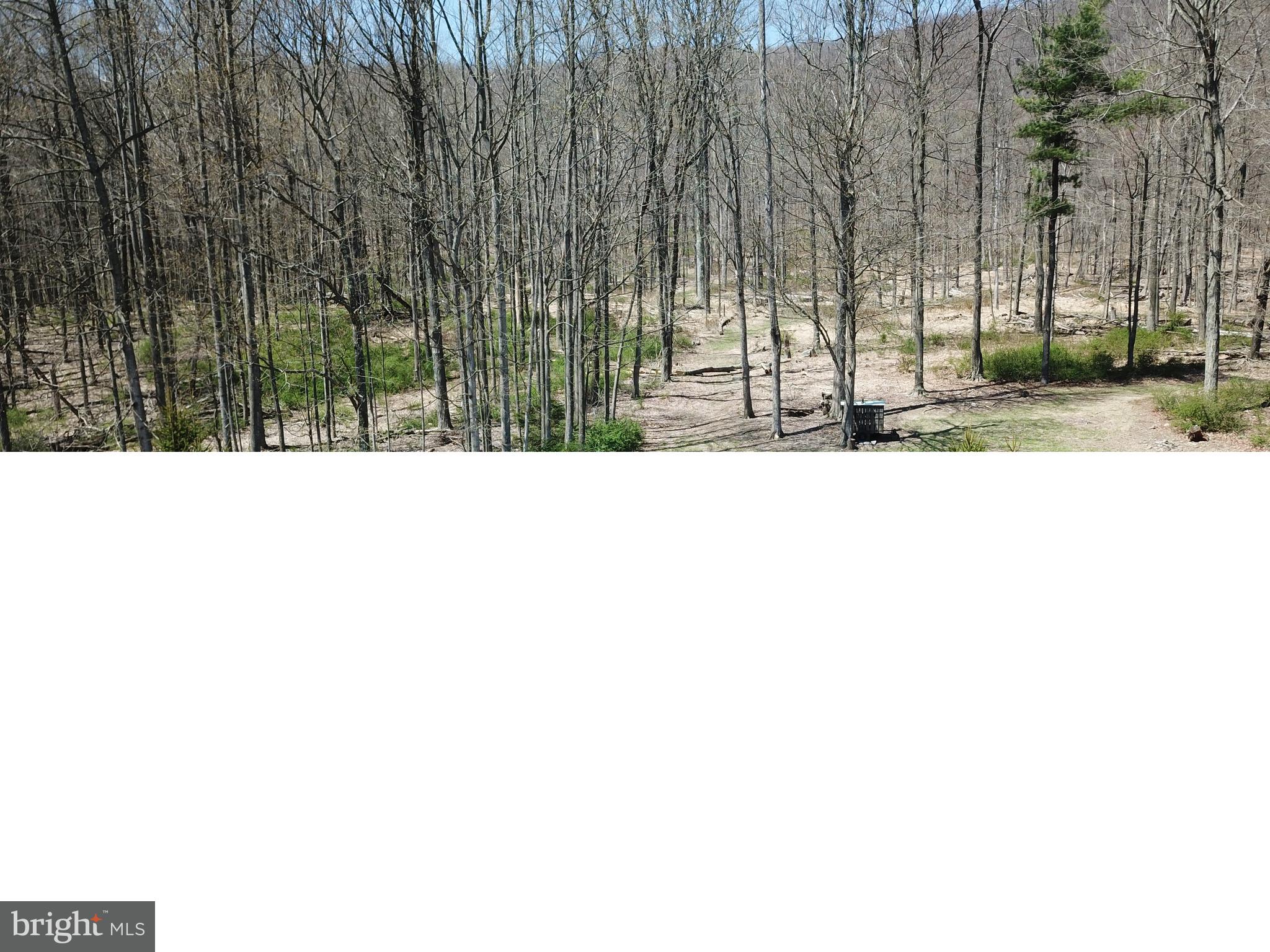 4577 Laurel Run Road Blain, PA 17006 - Photo 9 of 61