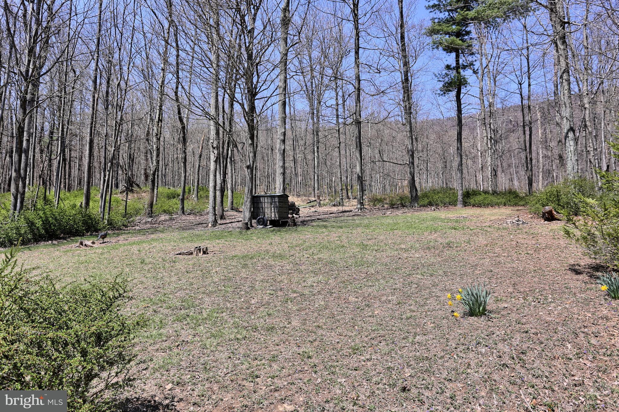 4577 Laurel Run Road Blain, PA 17006 - Photo 10 of 61