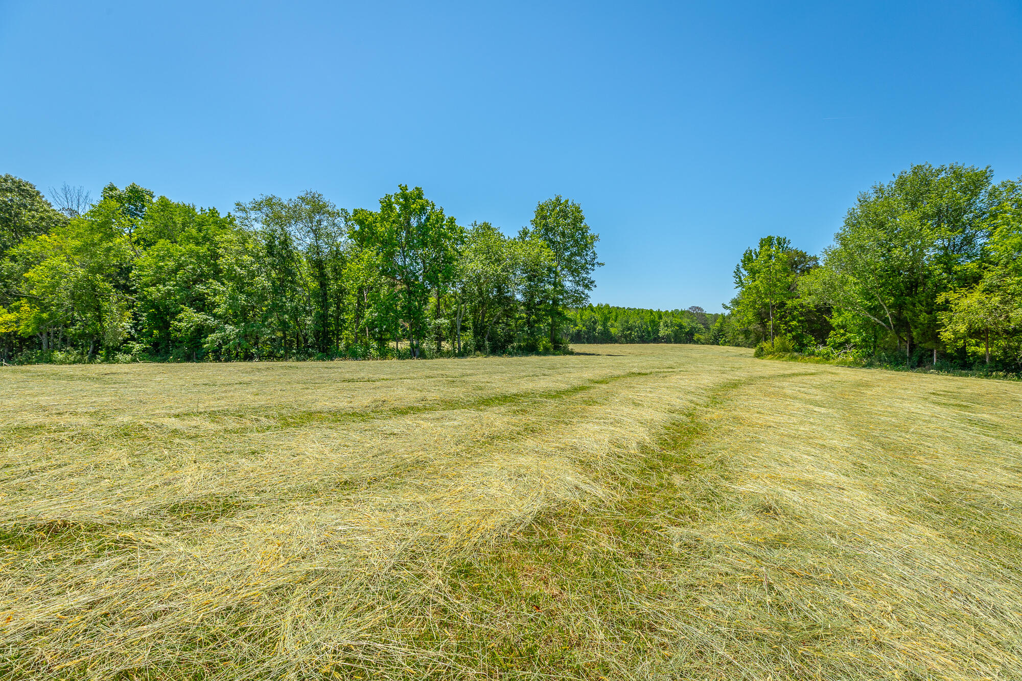 1655 West Cove Road Chickamauga, GA 30707 - Photo 41 of 62 1655 W Cove Road HD-63