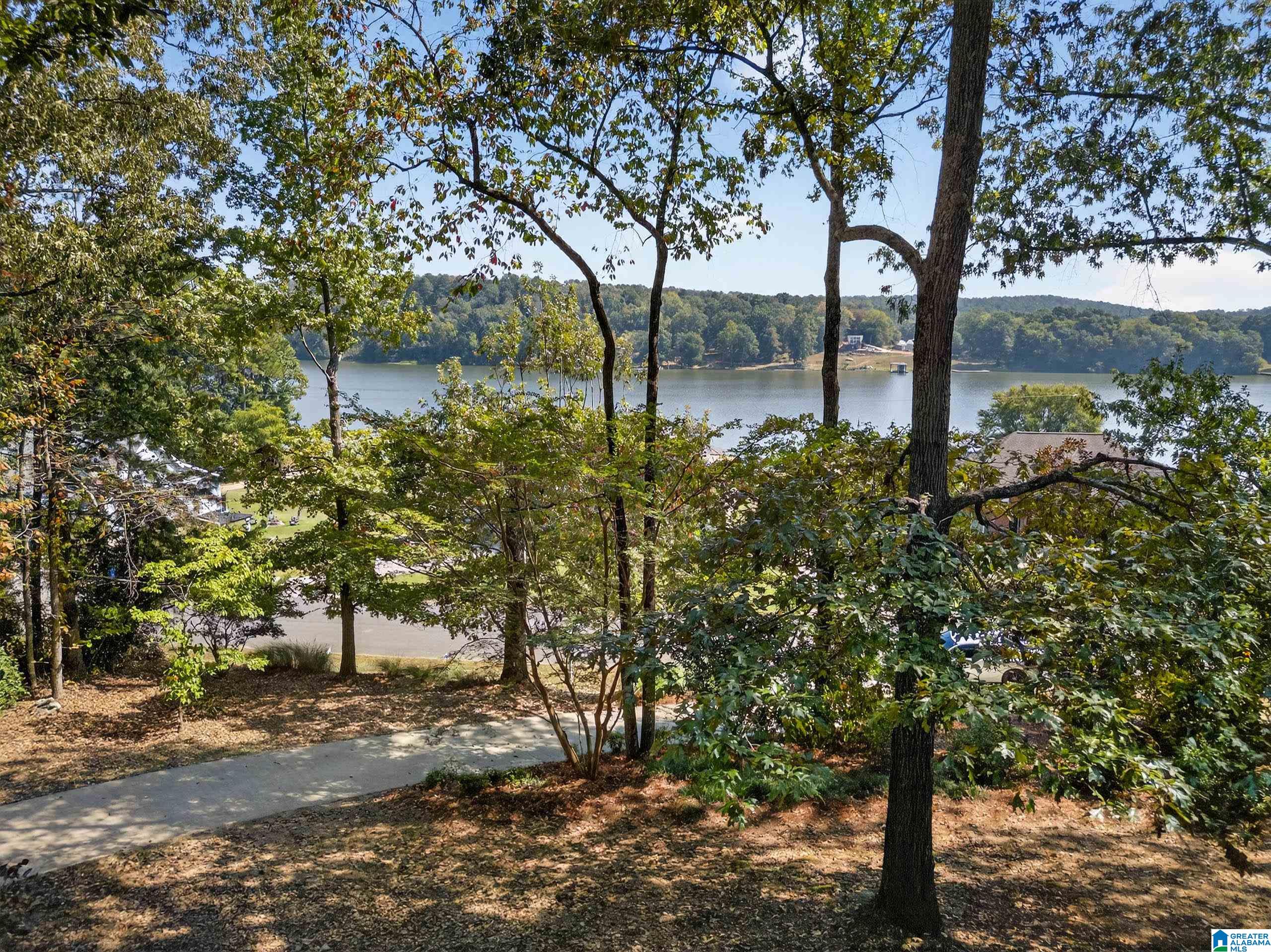 1105 Lock 4 Road Riverside, AL 35135 - Photo 9 of 53