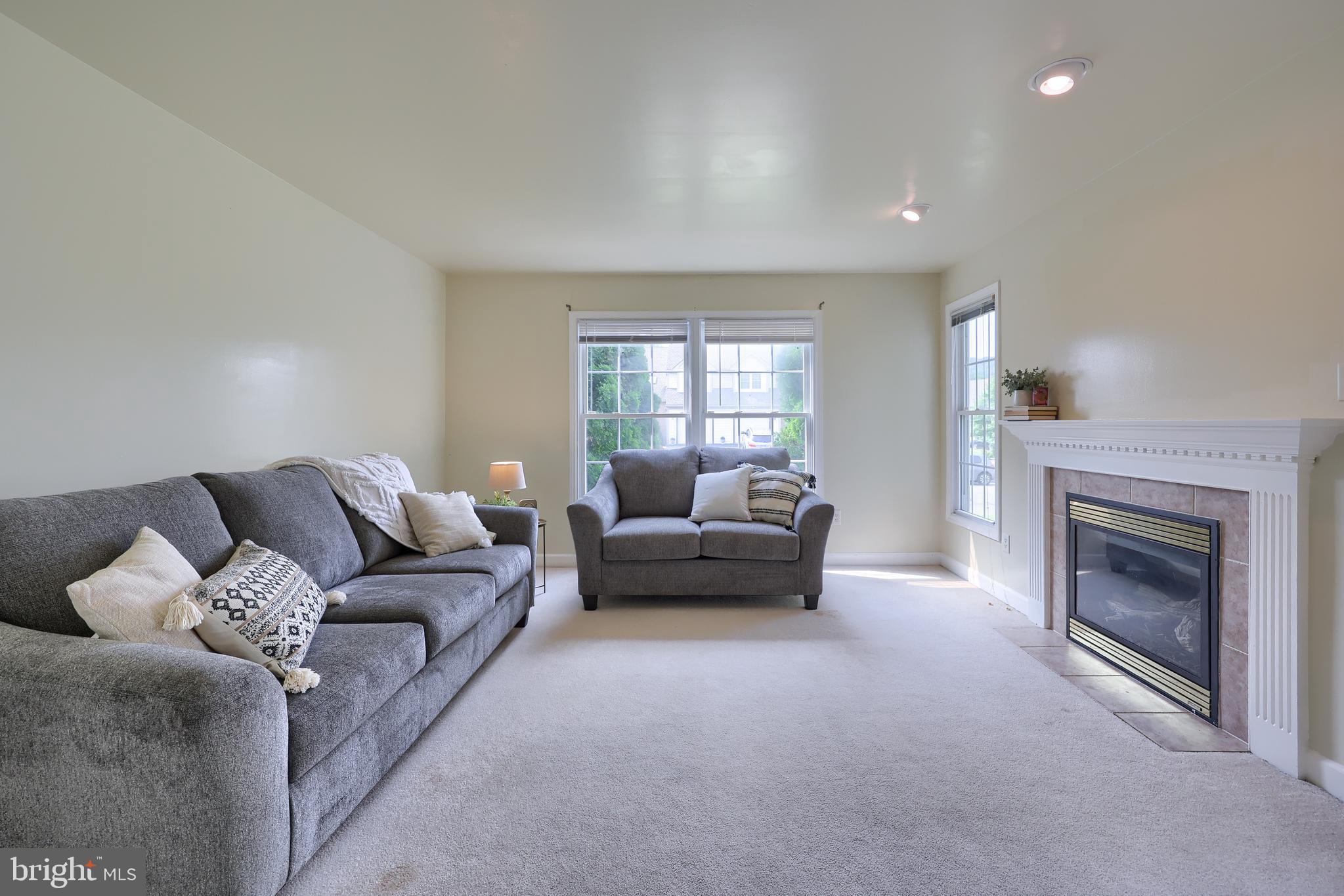 148 Michigan Drive Sinking Spring, PA 19608 - Photo 11 of 50 a living room with furniture and a fireplace