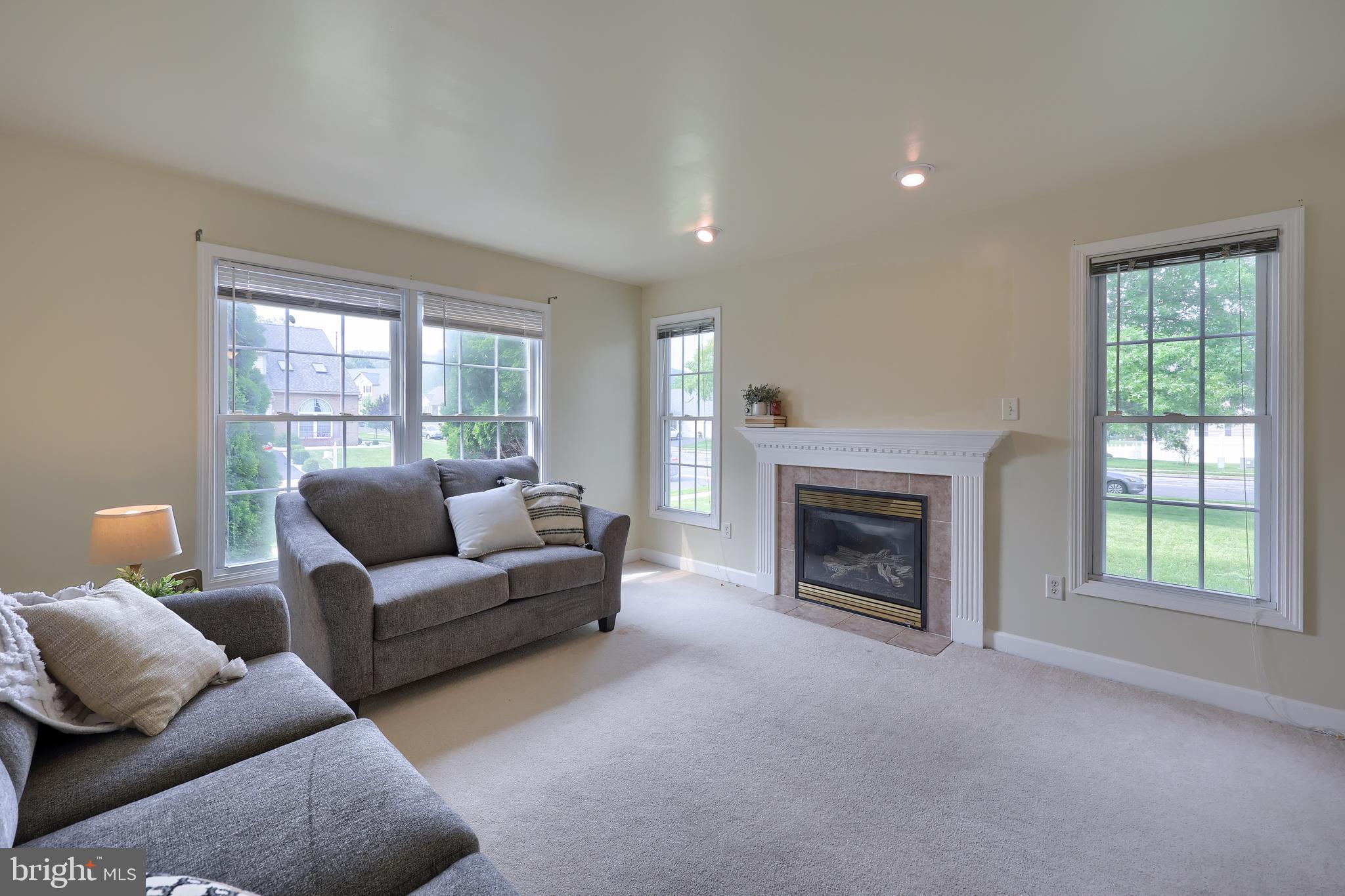 148 Michigan Drive Sinking Spring, PA 19608 - Photo 15 of 50 a living room with furniture and a fireplace