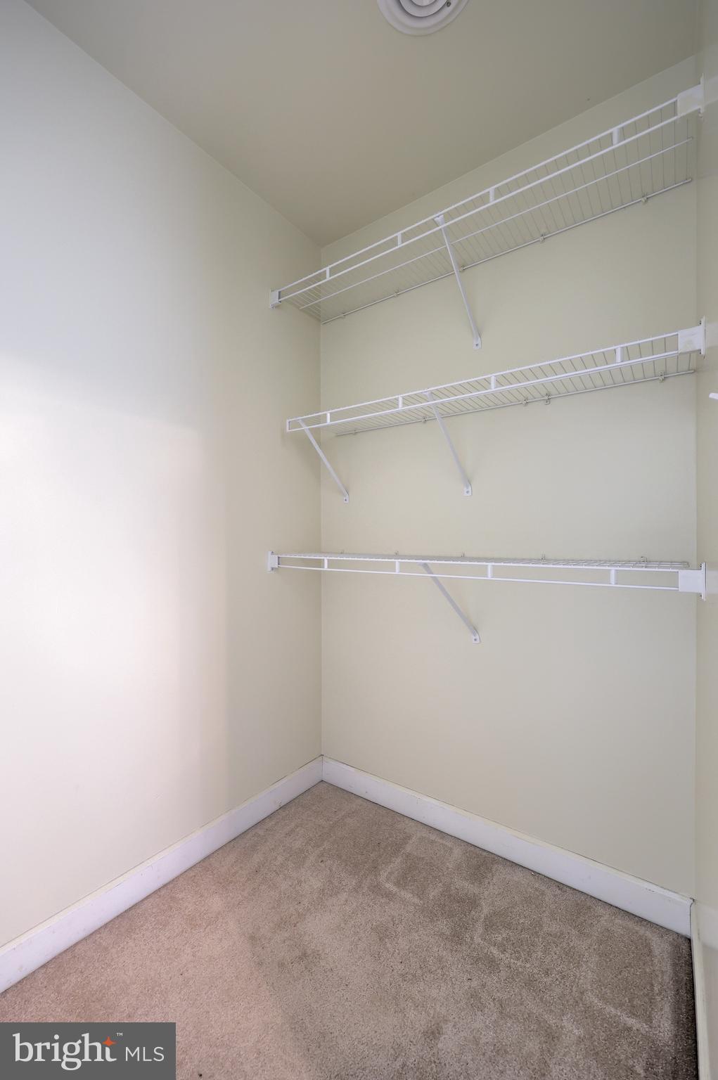 148 Michigan Drive Sinking Spring, PA 19608 - Photo 41 of 50 a view of an empty walk in closet
