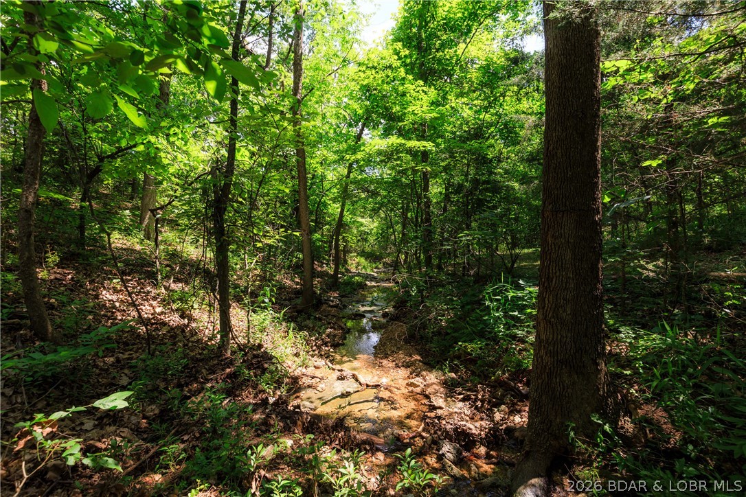 400 Hidden Acres Road Camdenton, MO 65020 - Photo 15 of 39