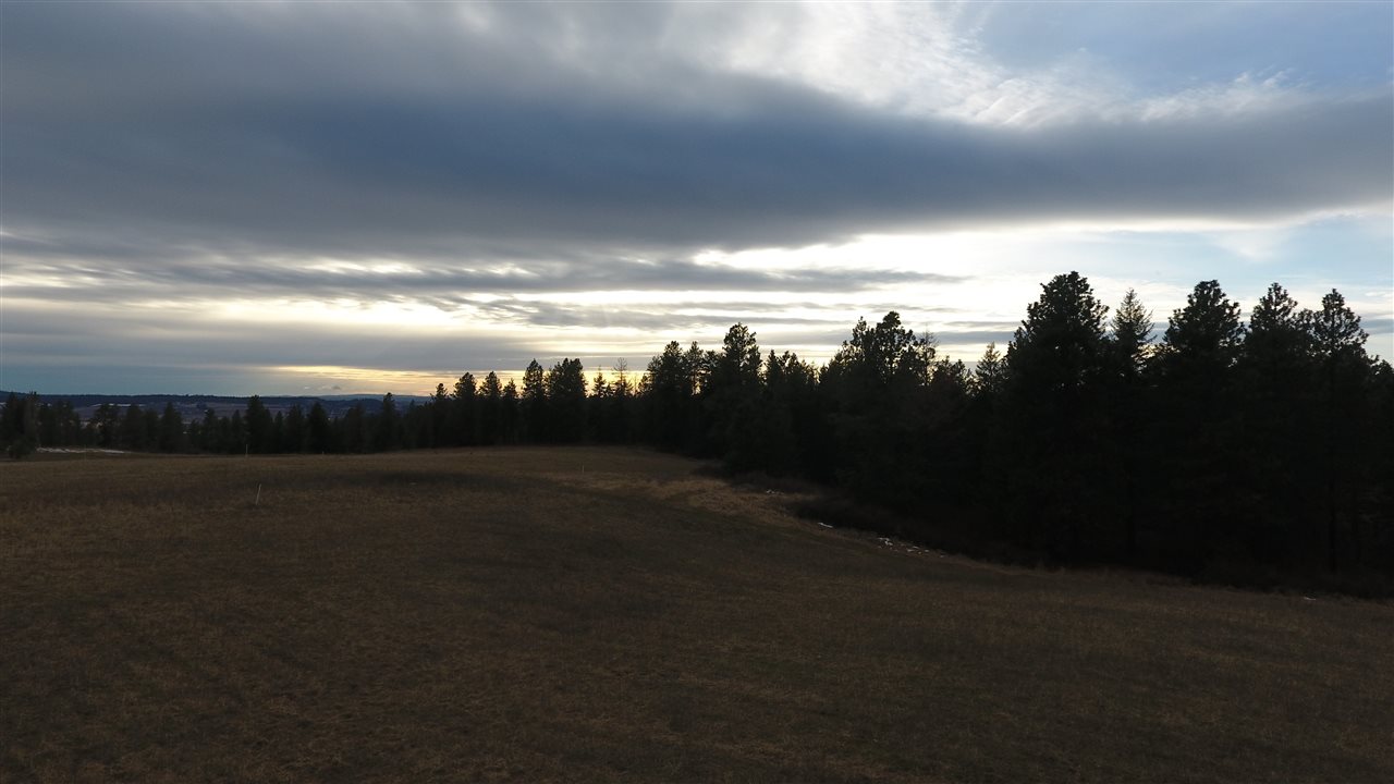 17611 North Dunn Road Colbert, WA 99005 - Photo 8 of 8