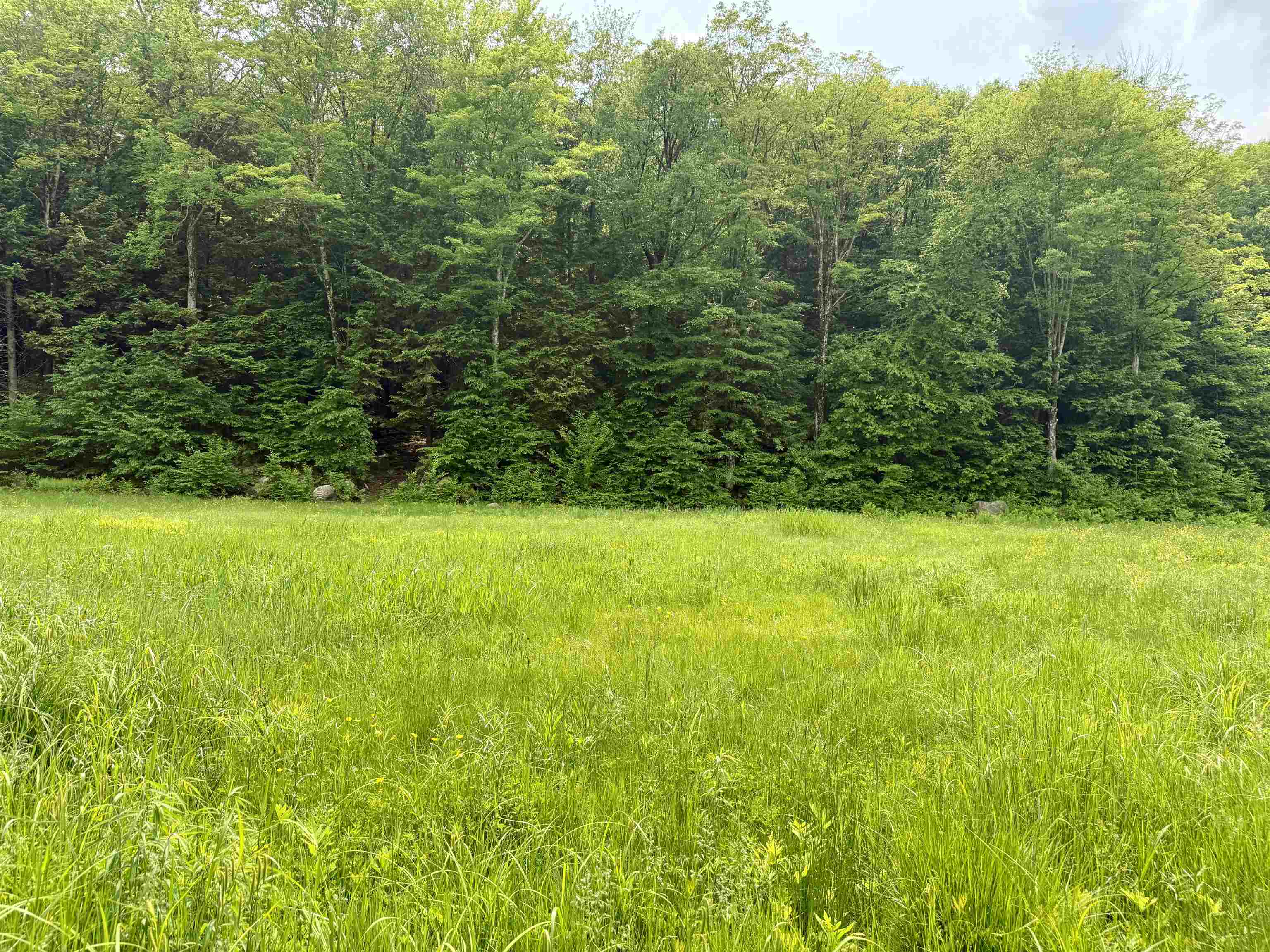 508 Mattson Road Chester, VT 05143 - Photo 3 of 11