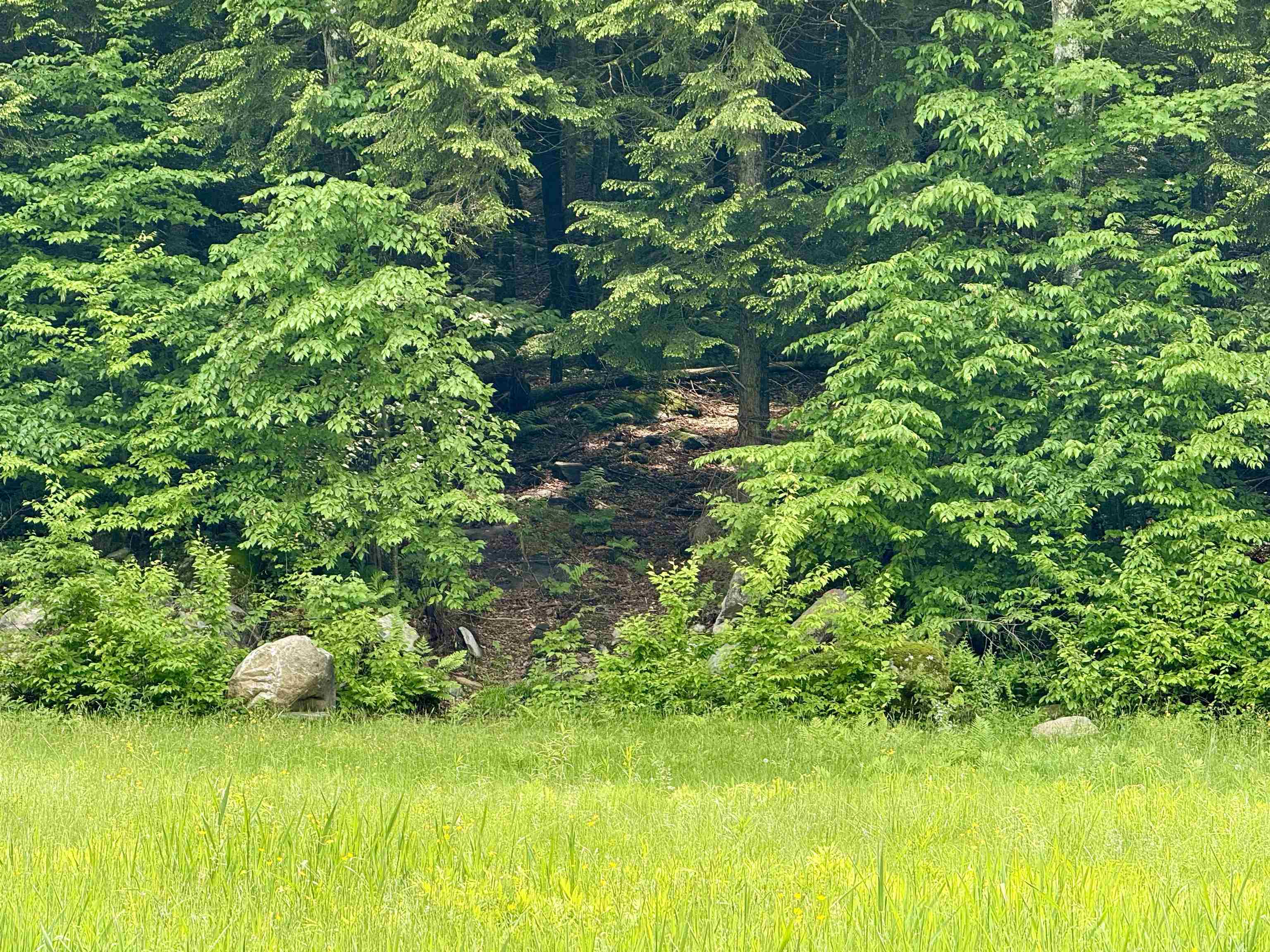 508 Mattson Road Chester, VT 05143 - Photo 6 of 11