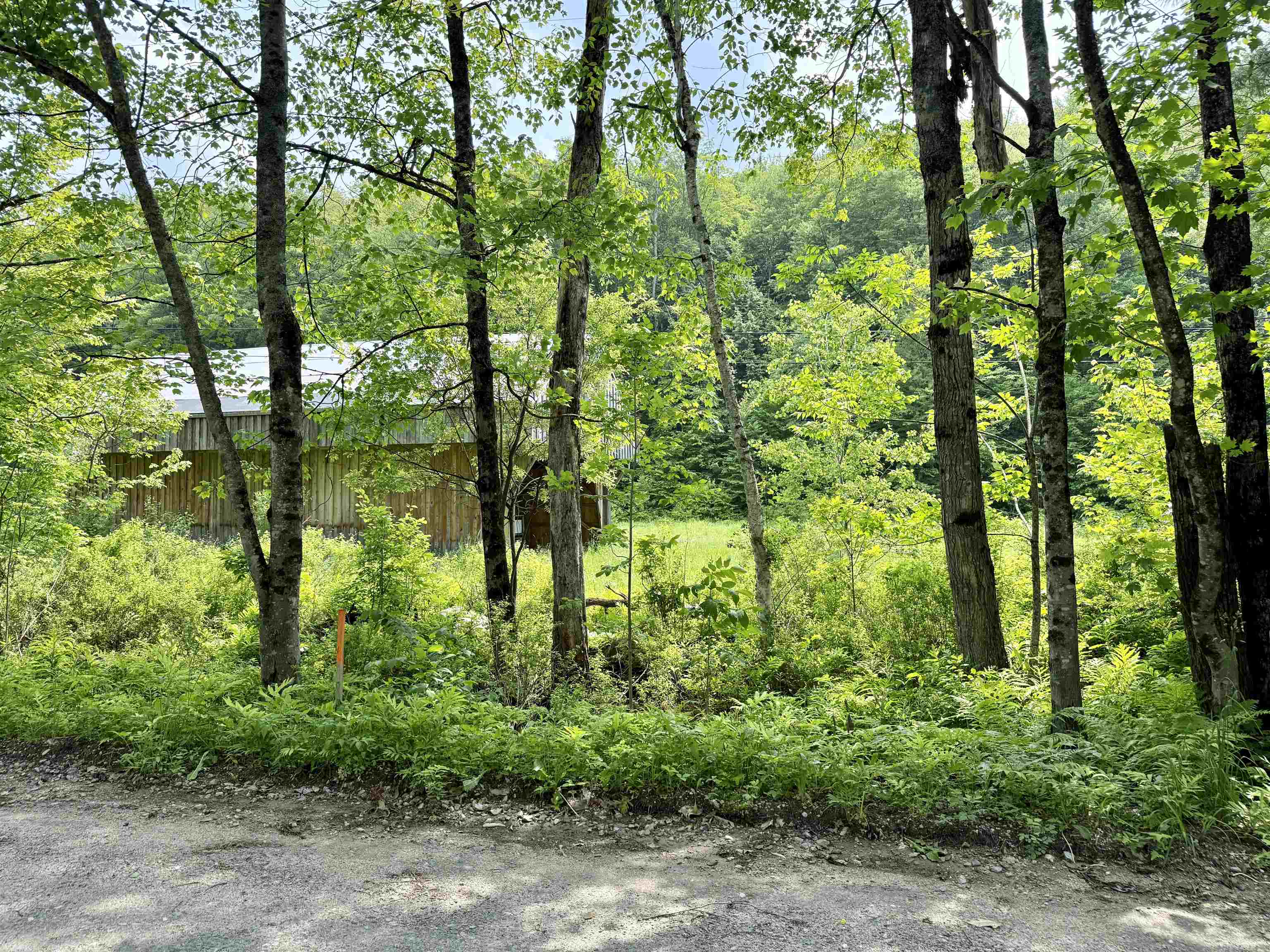 508 Mattson Road Chester, VT 05143 - Photo 9 of 11