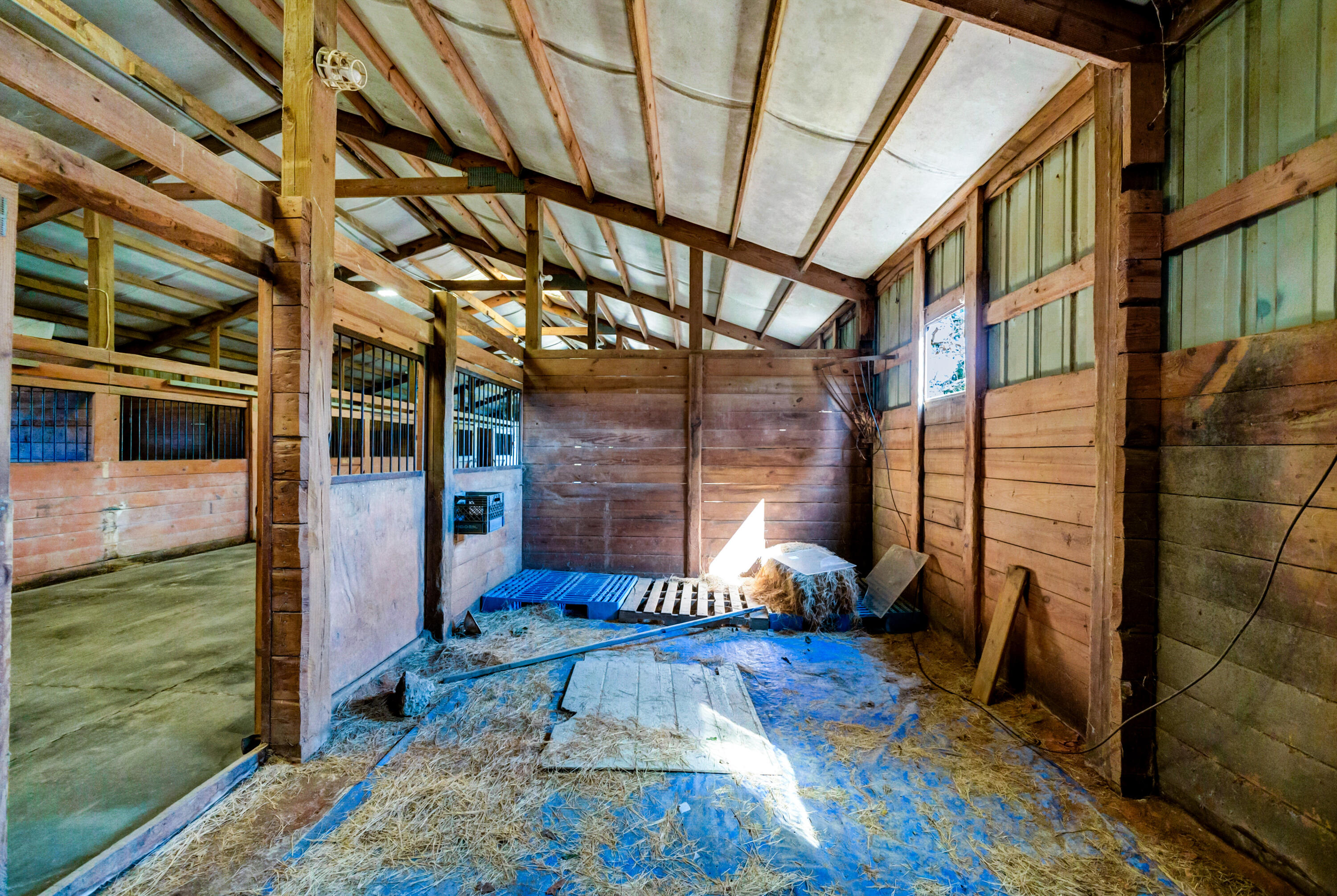 320 Adams Lane Gilbert, SC 29054 - Photo 64 of 92
