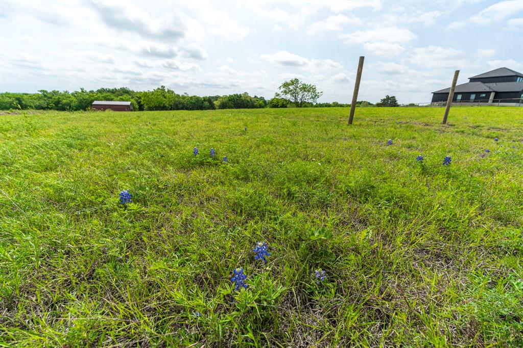 1401 East Campus Road Palmer, TX 75152 - Photo 20 of 21