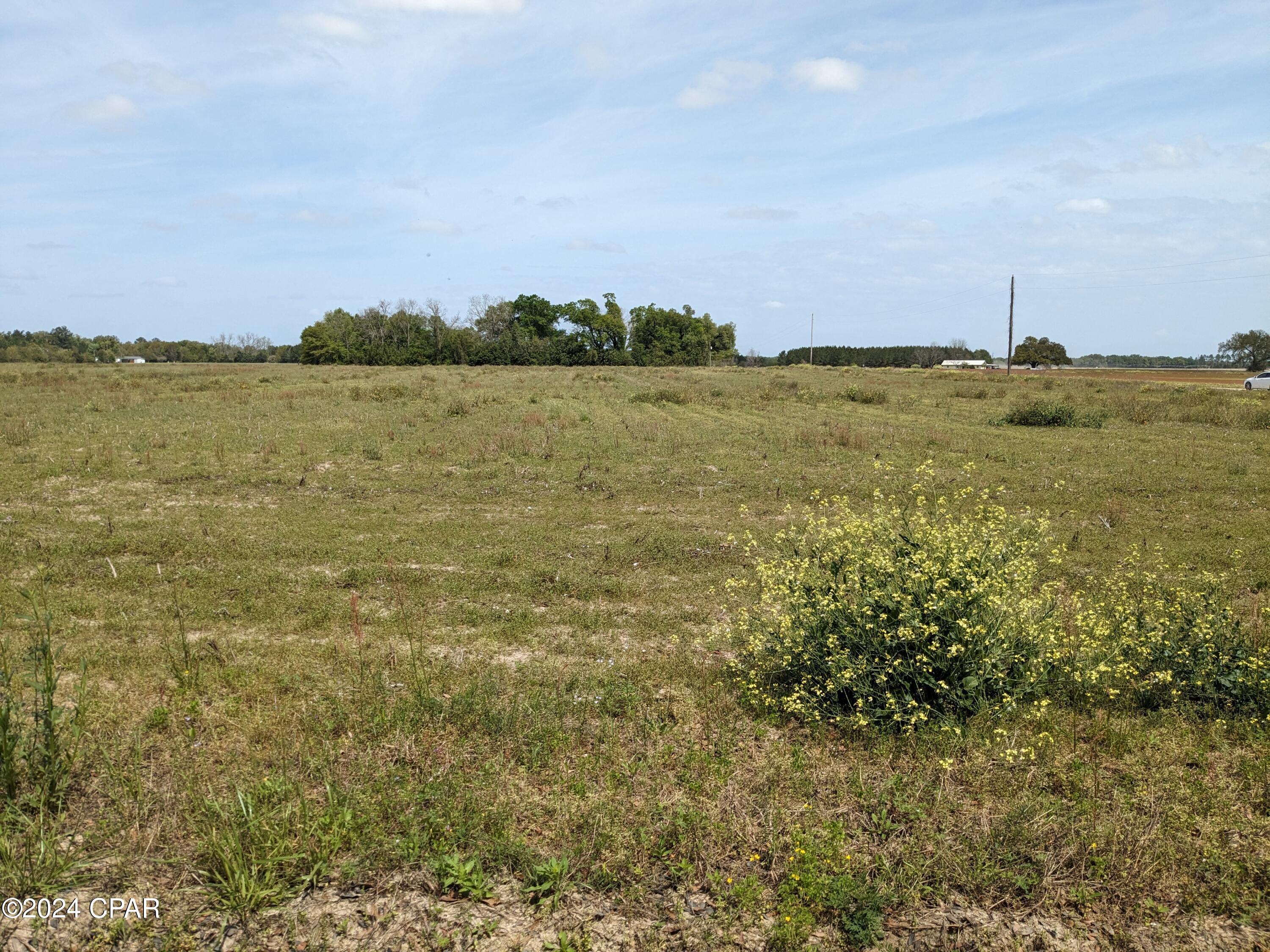 0 Fl-71 Malone, FL 32445 - Photo 5 of 8