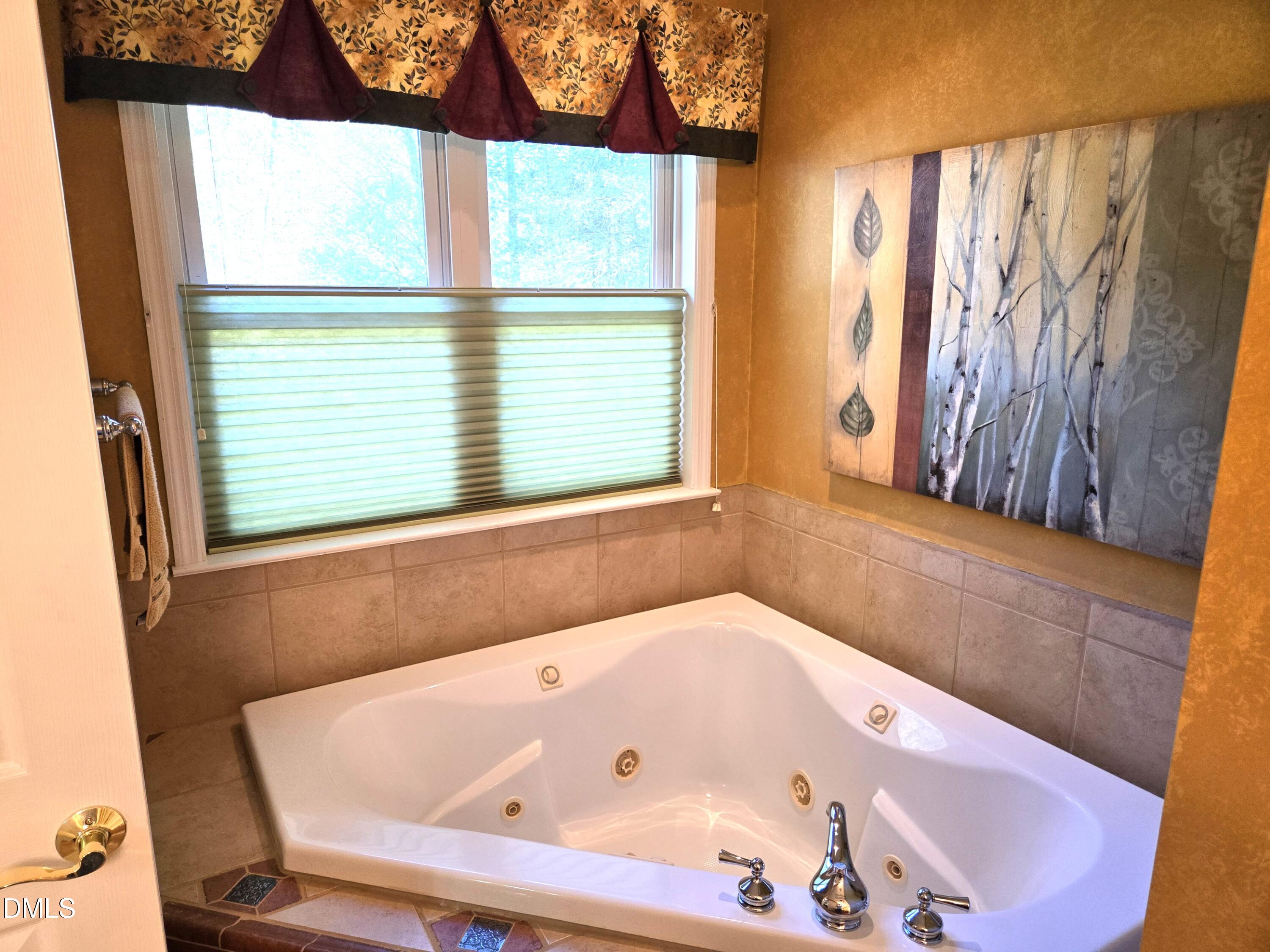 10249 State Rte 903 Bracey, VA 23919 - Photo 16 of 25 Jetted Tub