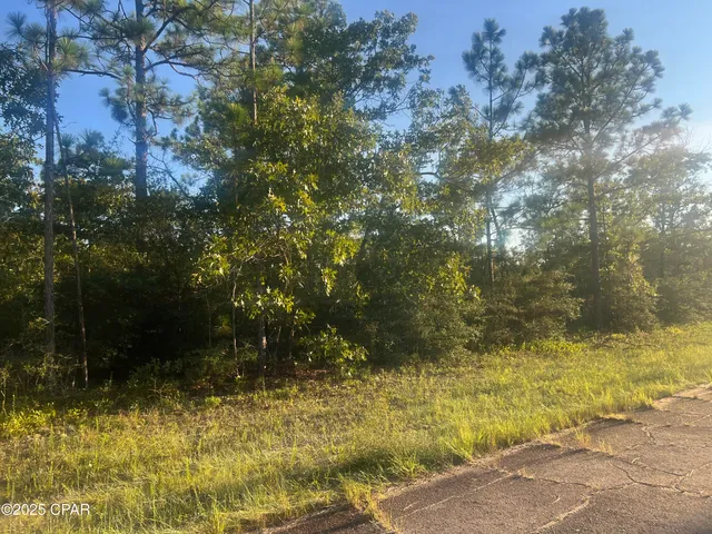 $12,500 | 0 Kelvin Street, Chipley, FL 32428