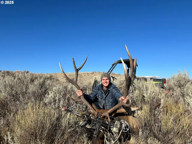 a view of a bird bath