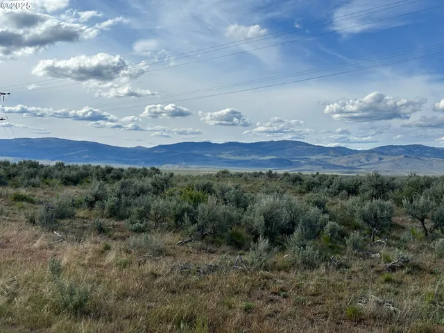 a view of a bunch of trees in a field