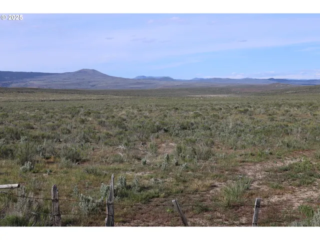 a view of a lush green field