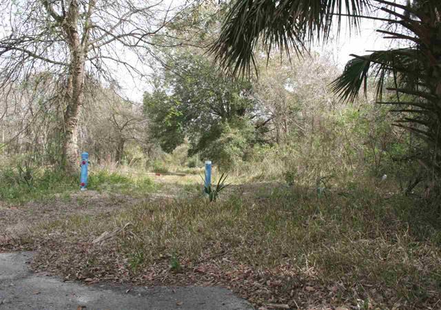 0 East Essex Road Hastings, FL 32145 - Photo 2 of 5 a view of a yard with a tree