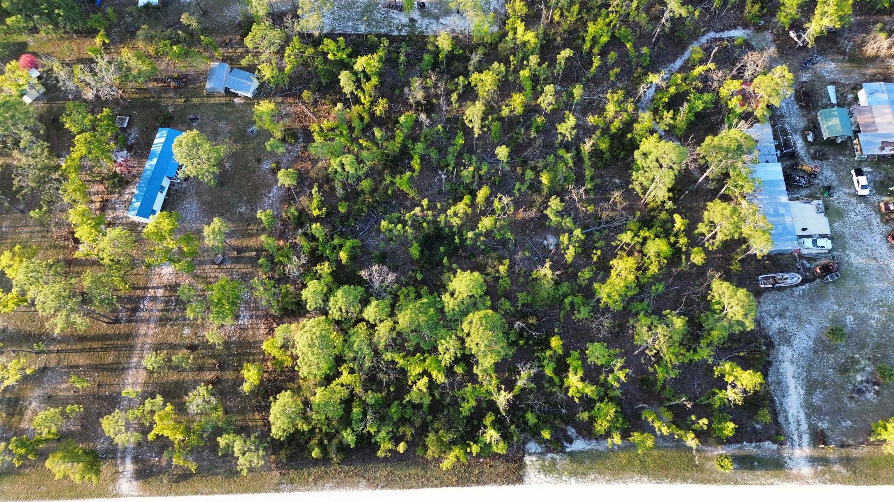 Lot 204 Post Oak Road Perry, FL 32348 - Photo 16 of 30 Gallery Image 16