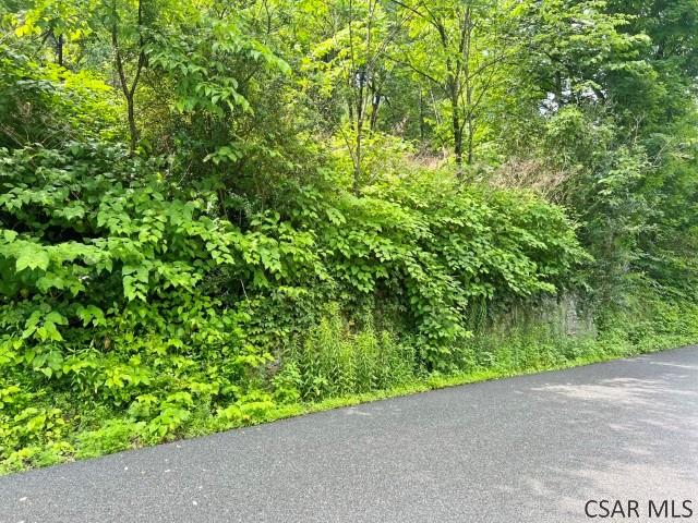 Moonshine Hollow Road Johnstown, PA 15905 - Photo 6 of 6